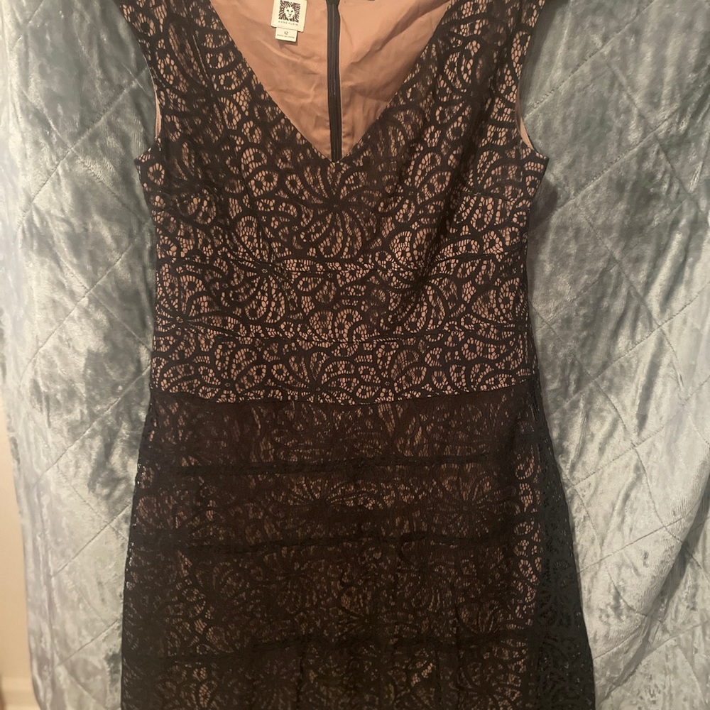Lace lined dress Anne Klein